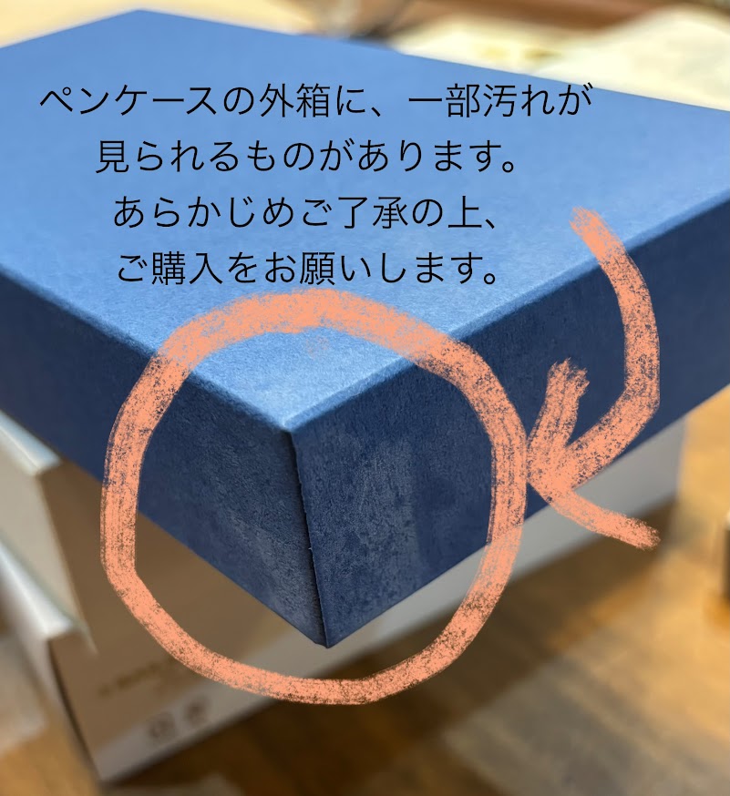 (数量限定)オリジナル万年筆「海底二万哩」＆ブライドルレザー・ペンケース「パストラル・カルーセル」